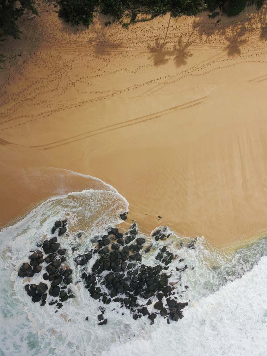 sunset beach water hitting rocks on shore near trees during daytime sand